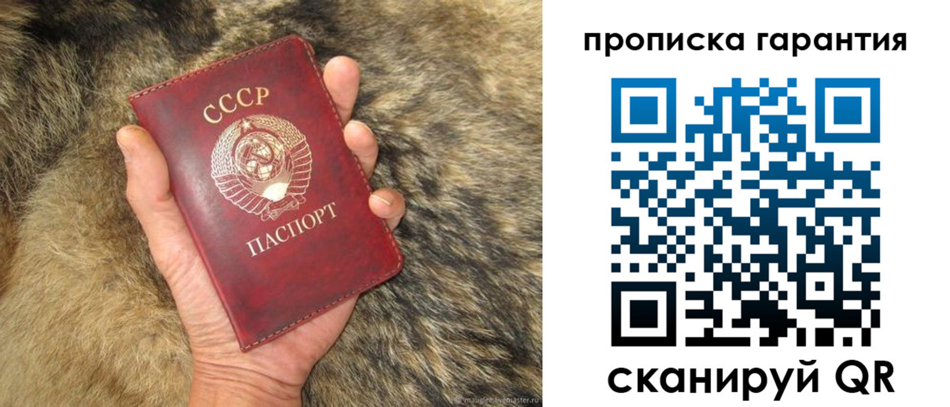 временная регистрация гарантия в Люберцах